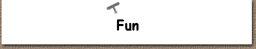  Fun 
